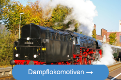 Dampflokomotive Tender voraus im Bahnhof Kulmbach
